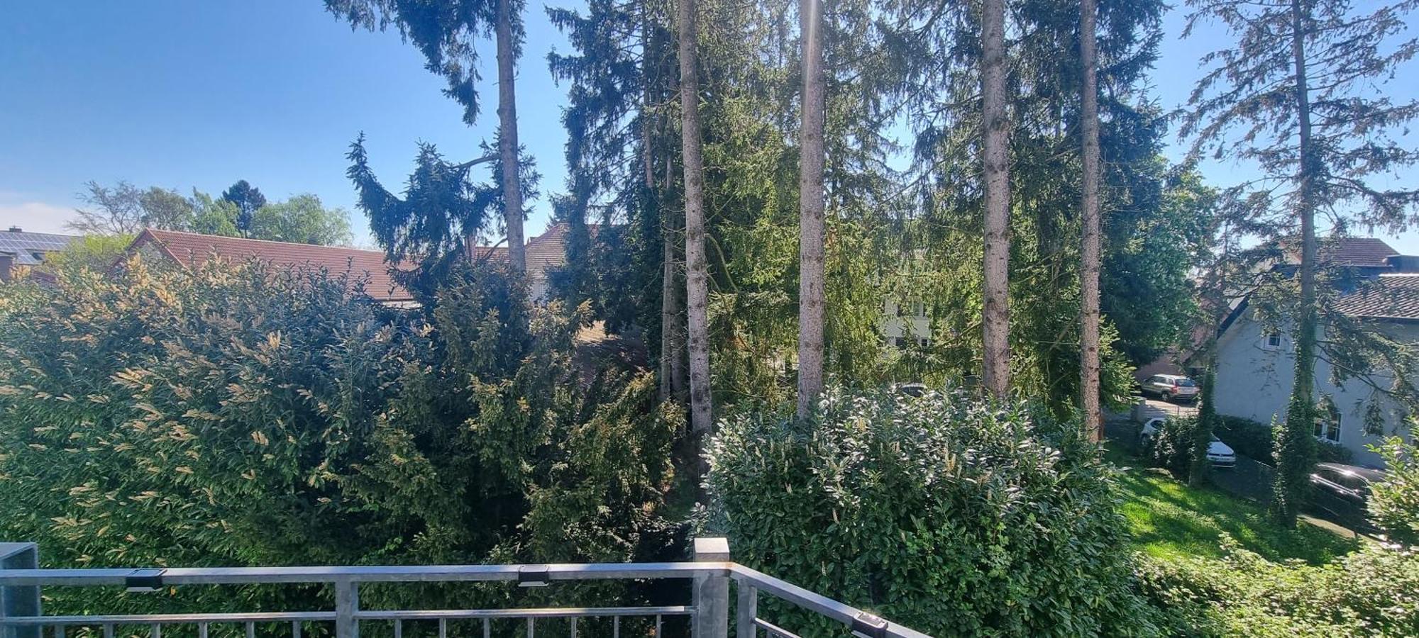 Ferienwohnung Am Kurwald In Bad Lippspringe Dış mekan fotoğraf